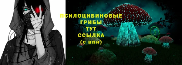Альфа ПВП Ельня