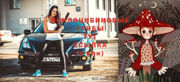 молекула духа Елабуга