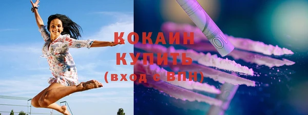 молекула духа Елабуга