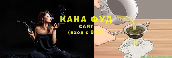 Альфа ПВП Ельня