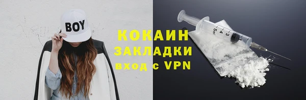 молекула духа Елабуга