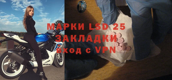 молекула духа Елабуга