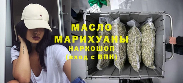 молекула духа Елабуга
