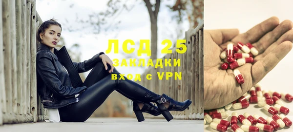 apvp Дмитровск
