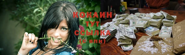 Альфа ПВП Ельня